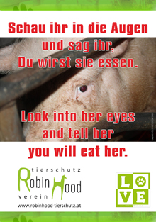 poster-schau-augen